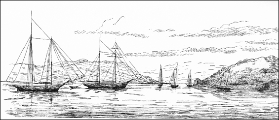 A drawing of Grady Harbour by George E. Gladwin, ca. 1877 A drawing of Grady Harbour by George E. Gladwin, ca. 1877
